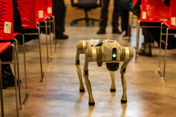 Students exploring AI and robotics